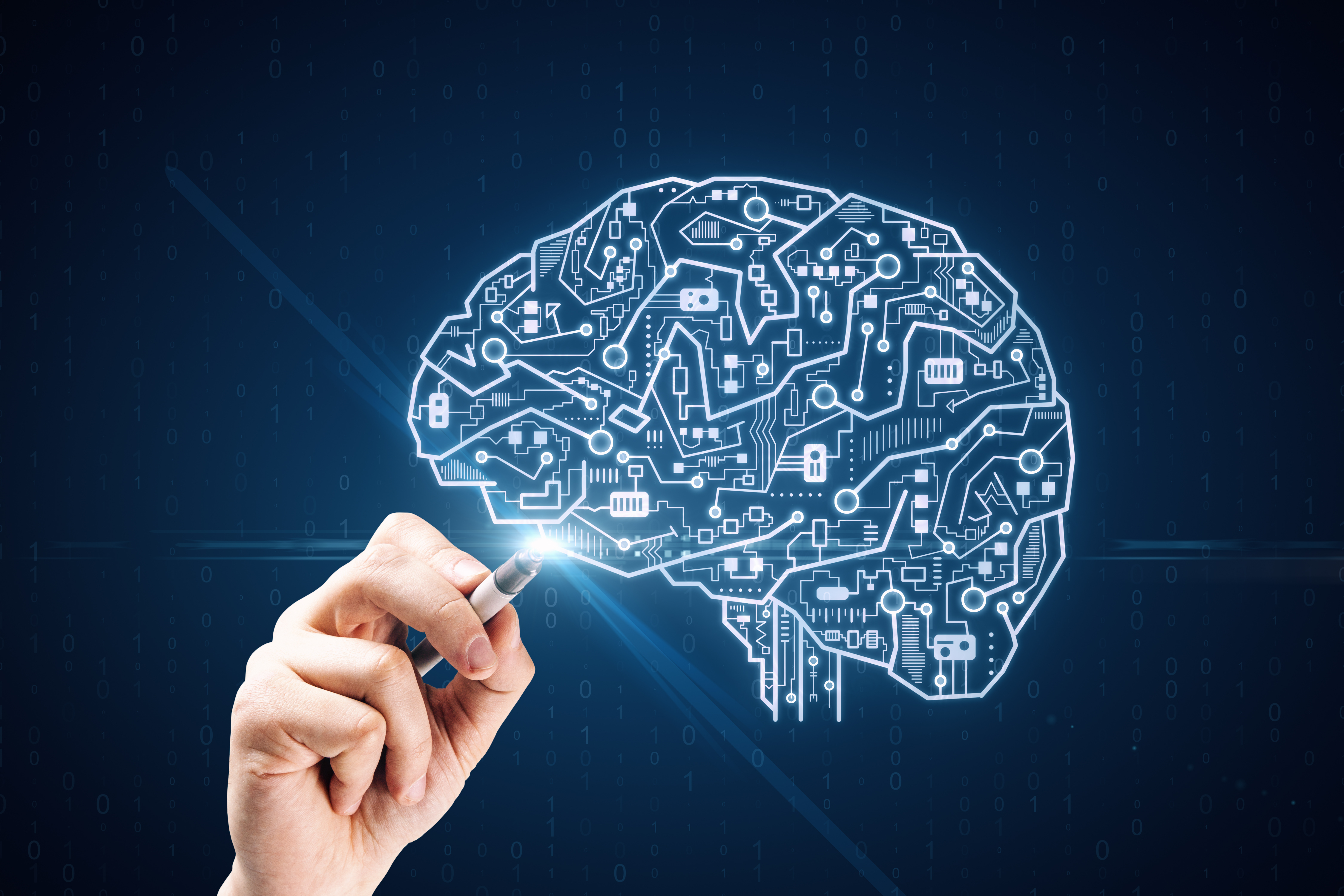 brain image